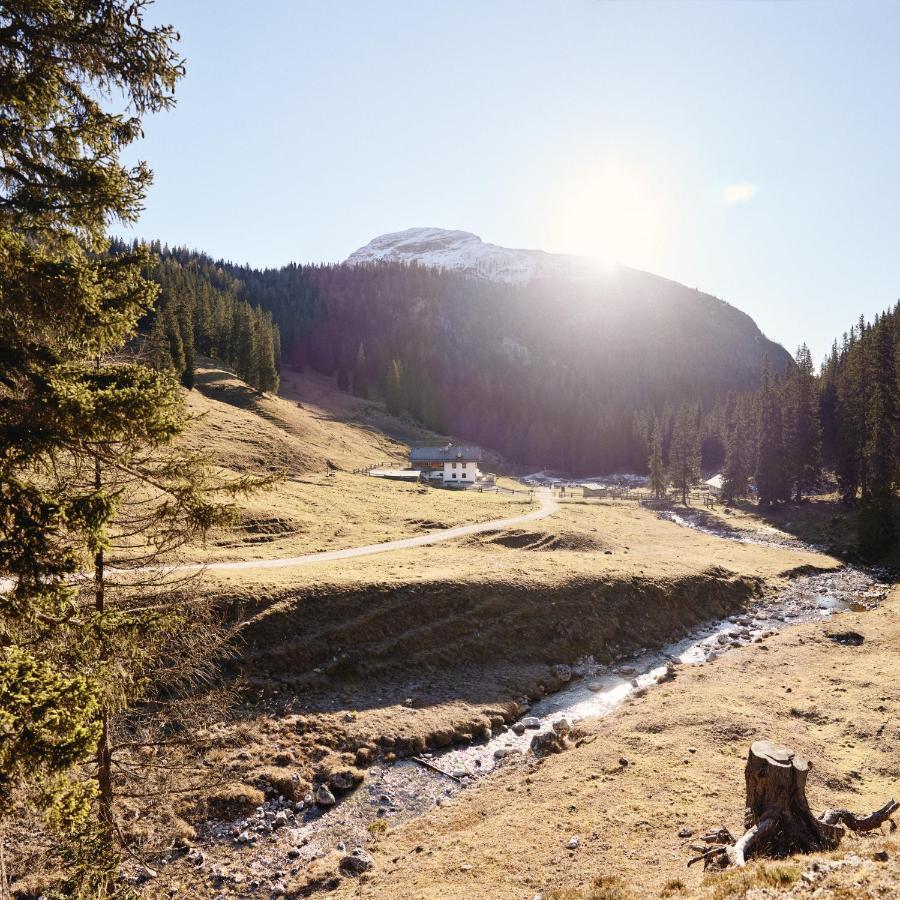 Rifugio Malga Ra Stua Villa กอร์ตินาดัมเปซโซ ภายนอก รูปภาพ
