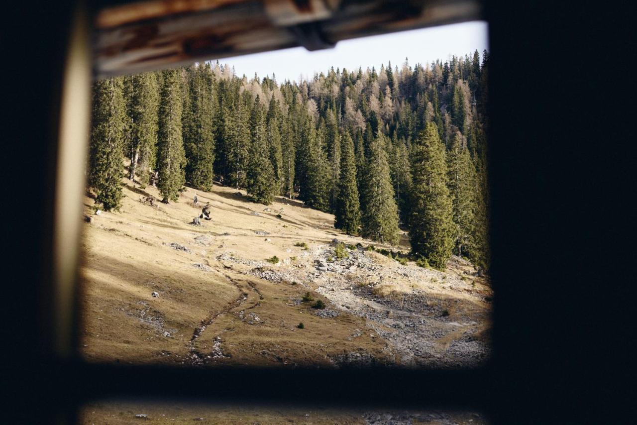 Rifugio Malga Ra Stua Villa กอร์ตินาดัมเปซโซ ภายนอก รูปภาพ