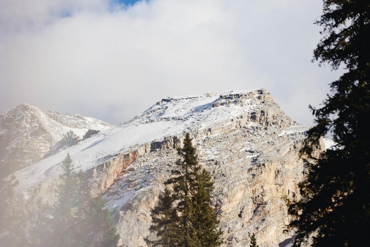 Rifugio Malga Ra Stua Villa กอร์ตินาดัมเปซโซ ภายนอก รูปภาพ