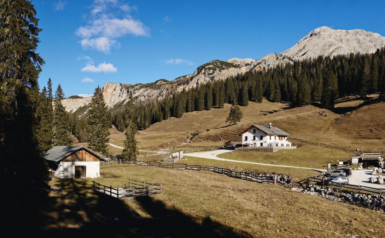 Rifugio Malga Ra Stua Villa กอร์ตินาดัมเปซโซ ภายนอก รูปภาพ