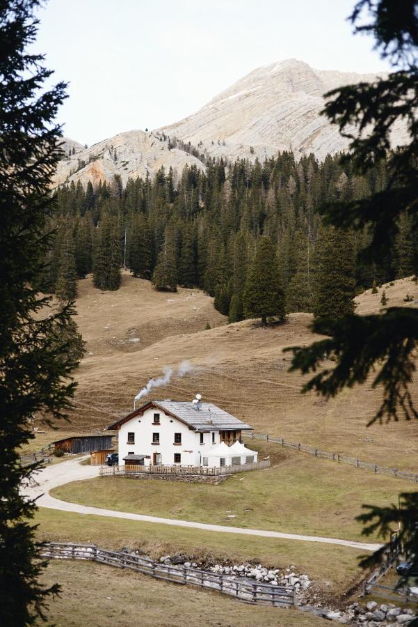 Rifugio Malga Ra Stua Villa กอร์ตินาดัมเปซโซ ภายนอก รูปภาพ