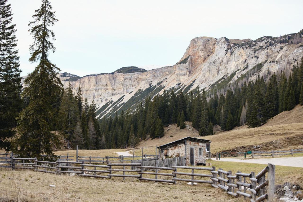 Rifugio Malga Ra Stua Villa กอร์ตินาดัมเปซโซ ภายนอก รูปภาพ